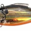 Bill Lewis Rat-L-Trap Lectric Shad Series Lipless Crankbait 1 Bill Lewis Rat-L-Trap Lectric Shad Series Lipless Crankbait