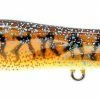 Topwater Baits Nomad Design Chug Norris Freshwater/Inshore Popper 2 Topwater Baits Nomad Design Chug Norris Freshwater/Inshore Popper