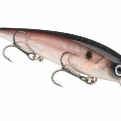 Strike King KVD 300 Series 4 3/4 Inch Suspending Medium Jerkbait Baits & Lures