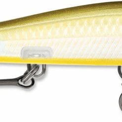 Baits & Lures Rapala RipStop 12 Jerkbait