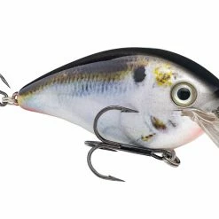 Strike King KVD 4.0 Magnum Shallow Squarebill Crankbait Baits & Lures 32 Strike King KVD 4.0 Magnum Shallow Squarebill Crankbait Baits & Lures