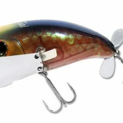Topwater Baits Jackall Pompadour Jr. Topwater Lure 14 Topwater Baits Jackall Pompadour Jr. Topwater Lure