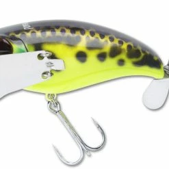 Jackall Pompadour Topwater Lure Topwater Baits