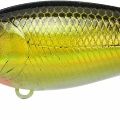 Lucky Craft Moonsault CB-100 Shallow Diving Crankbait Crankbaits 31 Lucky Craft Moonsault CB-100 Shallow Diving Crankbait Crankbaits