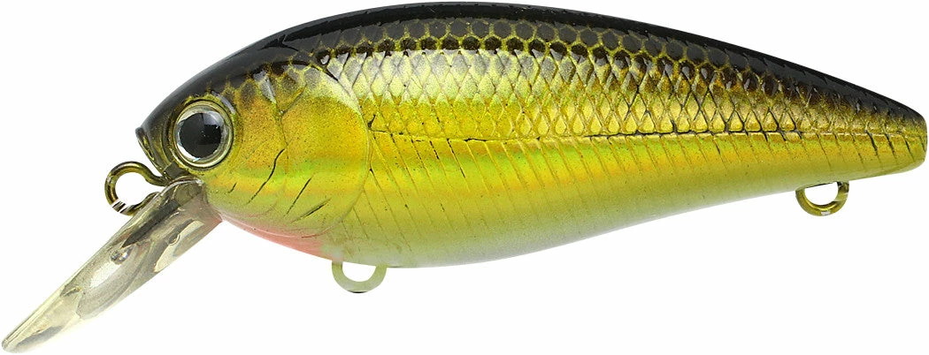 Lucky Craft Moonsault CB-100 Shallow Diving Crankbait Crankbaits 12 Lucky Craft Moonsault CB-100 Shallow Diving Crankbait Crankbaits