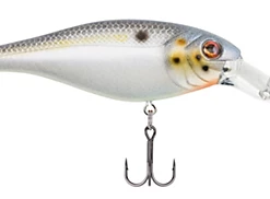 Berkley Bad Shad Medium Diving Crankbait Baits & Lures