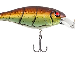 Berkley Bad Shad Medium Diving Crankbait Baits & Lures