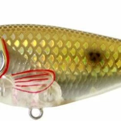 River2Sea Big Mistake 160 Topwater Prop Lure Prop Lures & Ploppers