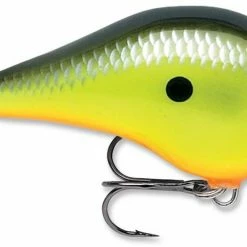 Rapala DT Fat 03 Shallow Square Bill Crankbait