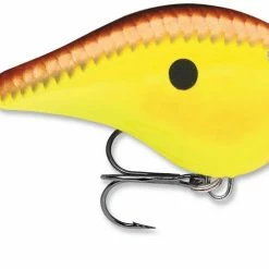 Rapala DT Fat 03 Shallow Square Bill Crankbait 14 Rapala DT Fat 03 Shallow Square Bill Crankbait