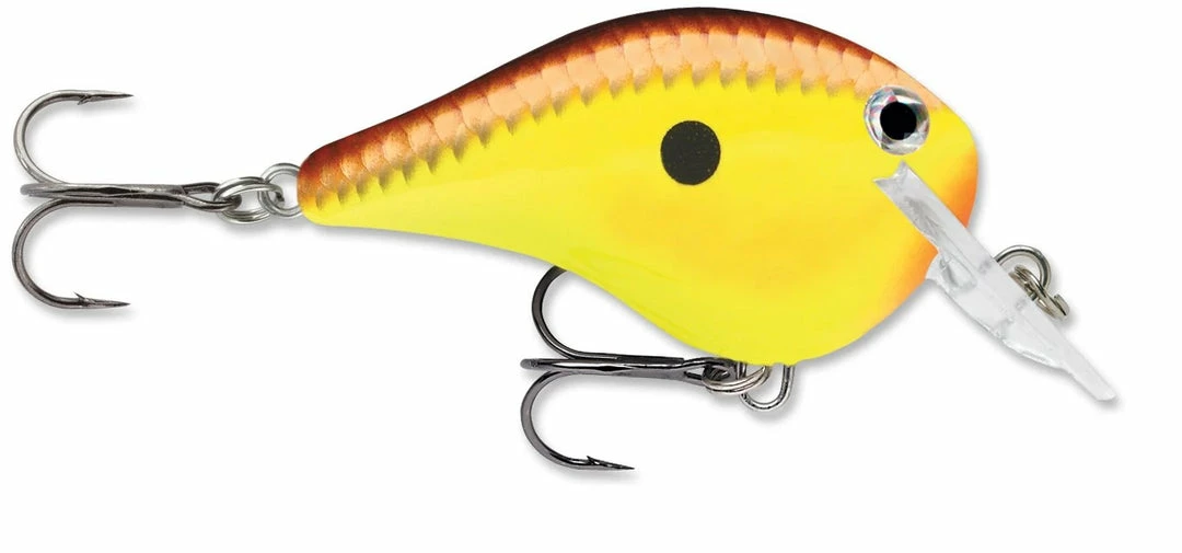 Rapala DT Fat 03 Shallow Square Bill Crankbait 7 Rapala DT Fat 03 Shallow Square Bill Crankbait