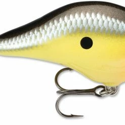 Rapala DT Fat 03 Shallow Square Bill Crankbait 15 Rapala DT Fat 03 Shallow Square Bill Crankbait
