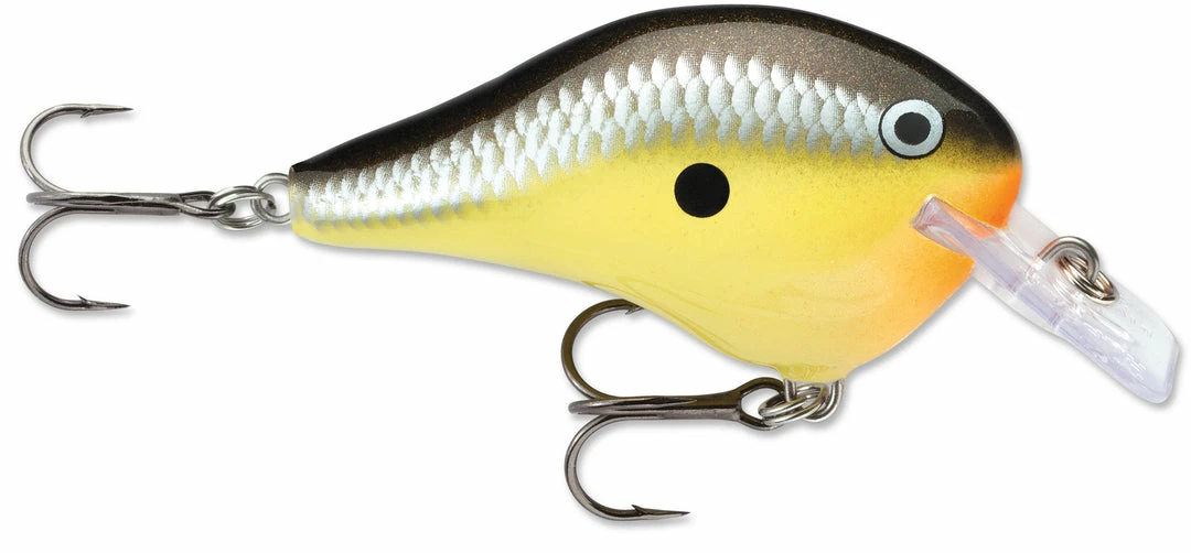Rapala DT Fat 03 Shallow Square Bill Crankbait 8 Rapala DT Fat 03 Shallow Square Bill Crankbait