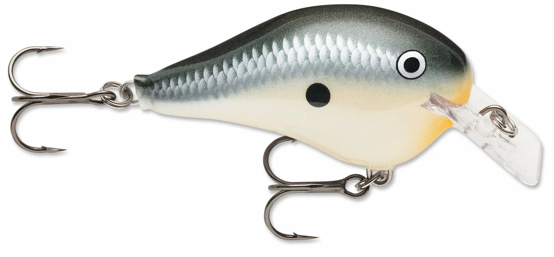 Rapala DT Fat 03 Shallow Square Bill Crankbait 9 Rapala DT Fat 03 Shallow Square Bill Crankbait