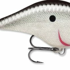 Rapala DT Fat 03 Shallow Square Bill Crankbait
