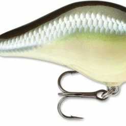 Rapala DT Fat 03 Shallow Square Bill Crankbait 17 Rapala DT Fat 03 Shallow Square Bill Crankbait