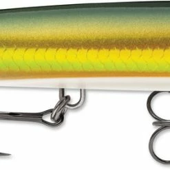 Rapala Skitter V 5 1/4 Inch Topwater Walker