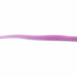 Roboworm Fat Straight Tail Worms 4 1/2 Inch Soft Plastic Worm 8 Pack Baits & Lures 40 Roboworm Fat Straight Tail Worms 4 1/2 Inch Soft Plastic Worm 8 Pack Baits & Lures