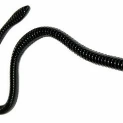 Gambler ER16 16 Inch Soft Plastic Worm Soft Baits