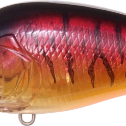 Megabass Super-Z Z-1 Medium Diving Crankbait Crankbaits