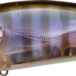 Megabass Big-M 2.0 Magnum Medium Diving Crankbait Crankbaits