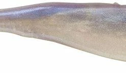 Berkley PowerBait Power Jerk Shad 5 Inch Soft Plastic Jerkbait 10 Pack Baits & Lures