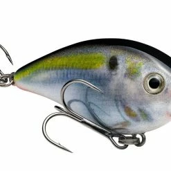 Strike King KVD Square Bill 1.5 Shallow Silent Crankbait