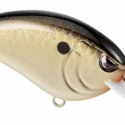 SPRO Little John 50 Type R Shallow Diving Crankbait