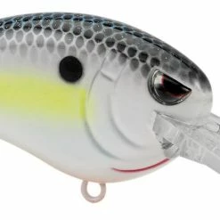 SPRO Little John MD 50 Type R Medium Diving Crankbait Crankbaits