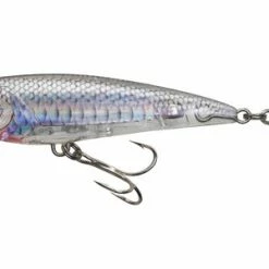Yo-Zuri 3D Inshore Popper 3 1/2 Inch Topwater Popper Baits & Lures