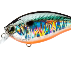 Hardcore Crank 65F 2+ Medium Crankbait Crankbaits