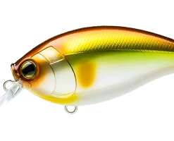 Hardcore Crank 65F 2+ Medium Crankbait Crankbaits