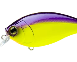 Hardcore Crank 65F 2+ Medium Crankbait Crankbaits