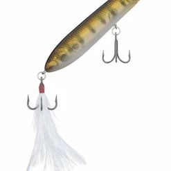 Evergreen International SB-77