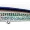 Daiwa Saltiga Dorado Popper 5 1/2 Inch Topwater Popper Topwater Baits