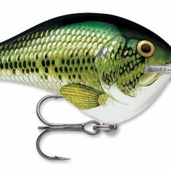 Rapala DT Series Crankbait DT8 Baits & Lures
