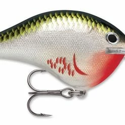 Rapala DT Series Crankbait DT8 Baits & Lures