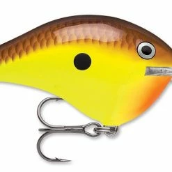 Rapala DT Series Crankbait DT8 Baits & Lures