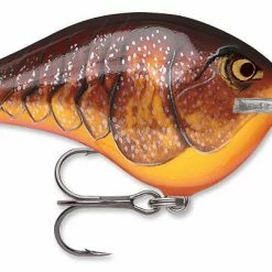 Rapala DT Series Crankbait DT8 Baits & Lures