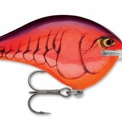 Rapala DT Series Crankbait DT8 Baits & Lures