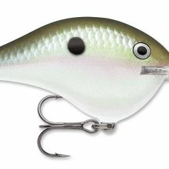 Rapala DT Series Crankbait DT8 Baits & Lures