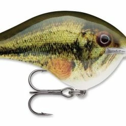 Rapala DT Series Crankbait DT8 Baits & Lures