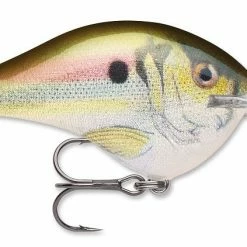 Rapala DT Series Crankbait DT8 Baits & Lures