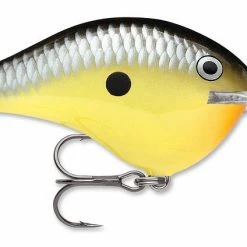 Rapala DT Series Crankbait DT8 Baits & Lures