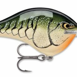 Rapala DT Series Crankbait DT8 Baits & Lures