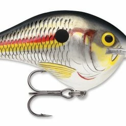 Rapala DT Series Crankbait DT8 Baits & Lures