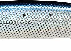 Lucky Craft SW Pointer 130 MR HW Saltwater Jerkbait Jerkbaits/Rip Baits, Twitchbaits, & Trolling Plugs