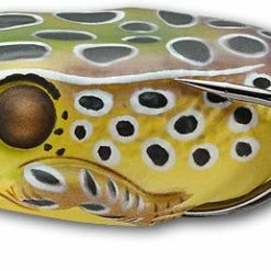LIVETARGET Hollow Body Frog