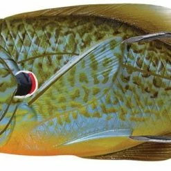 LIVETARGET Hollow Body Sunfish