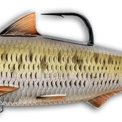 LIVETARGET Common Shiner Soft Body Swimbait Swimbaits 12 LIVETARGET Common Shiner Soft Body Swimbait Swimbaits
